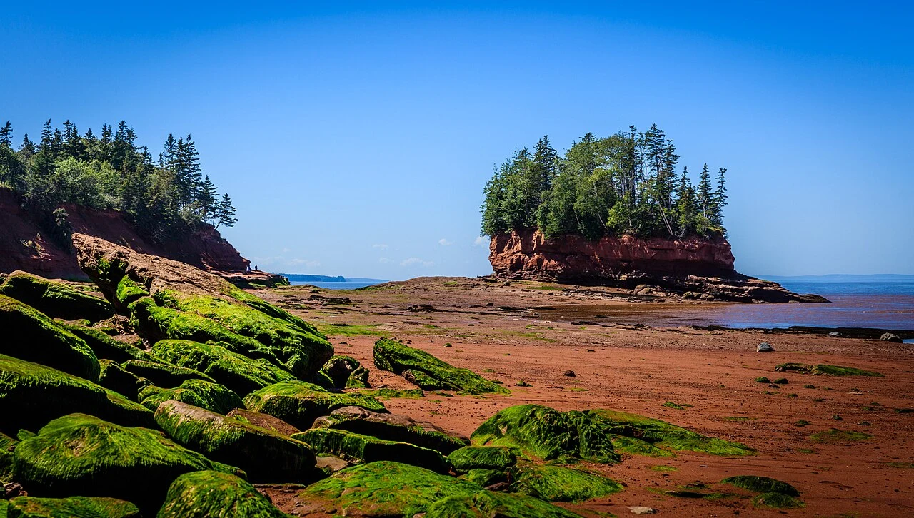 Burntcoat Head Park at low tide (photo: Shawn M. Kent)