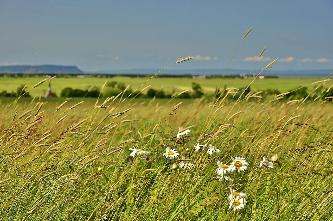 Grand-Pré National Historic Site (photo: Eric Van Lochem)